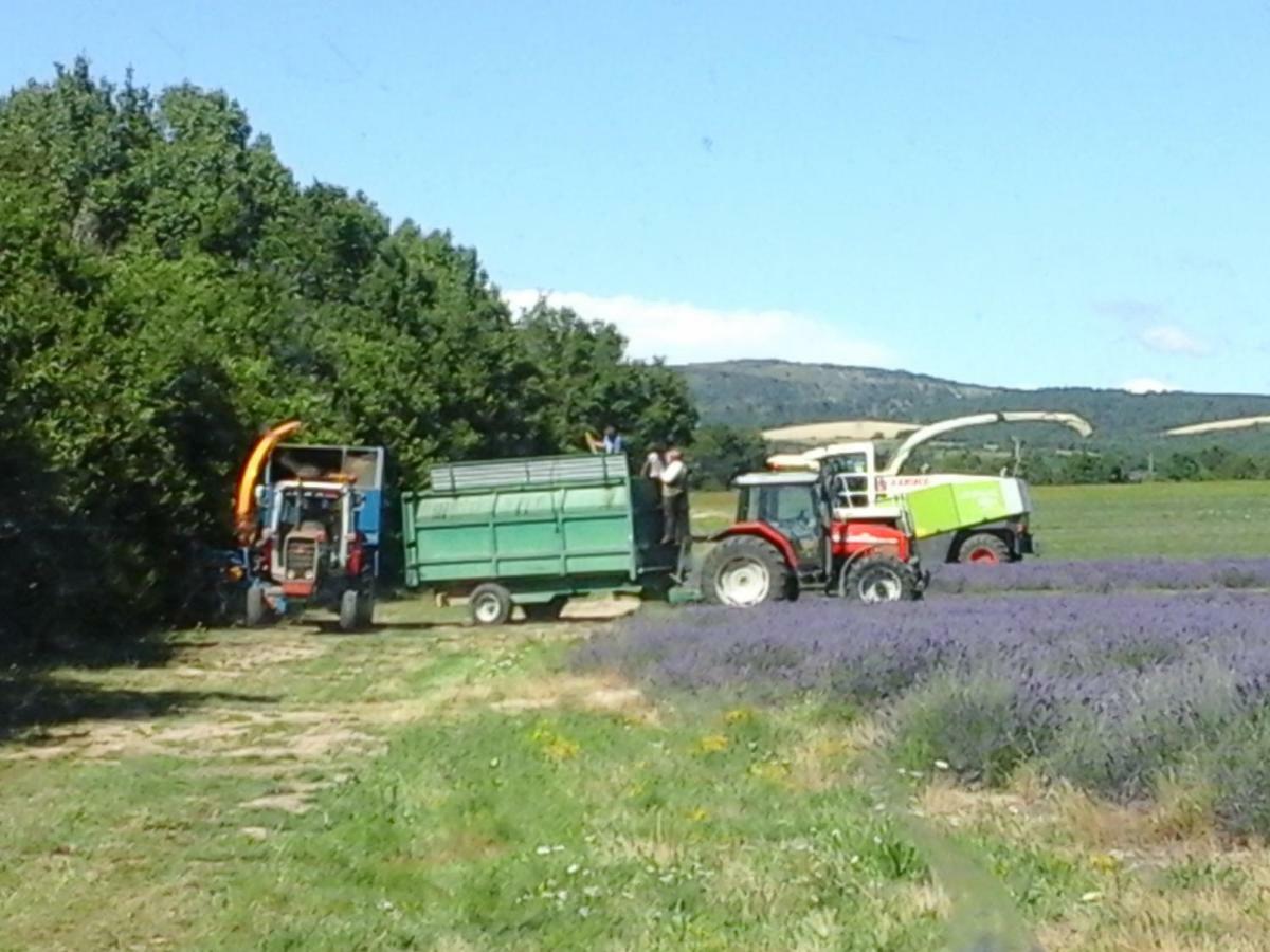 Chambre Pour Cyclistes Au Mt Ventoux Le Barroux 外观 照片